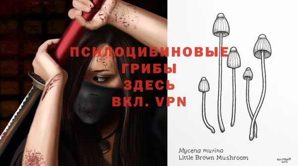 МДПВ Арсеньев