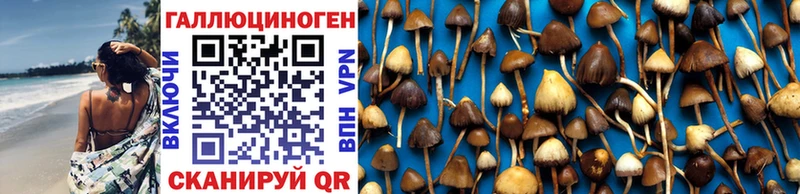 kraken ONION  купить   Пролетарск  Псилоцибиновые грибы Psilocybe 